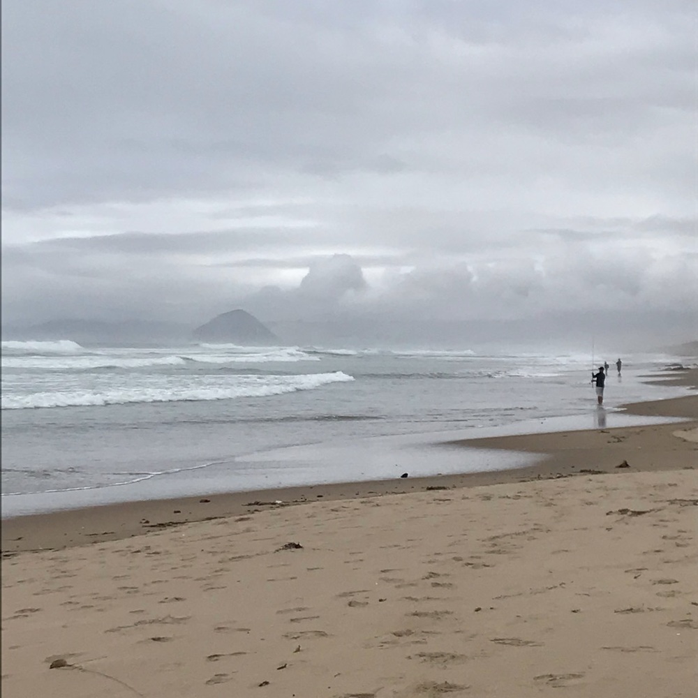 Meet your Posher, Peggy